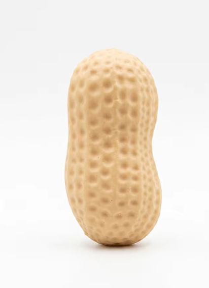Gniotek sensoryczny Orzeszek Ziemny, miękka zabawka antystresowa do ściskania, realistyczny squishy w kształcie fistaszka
